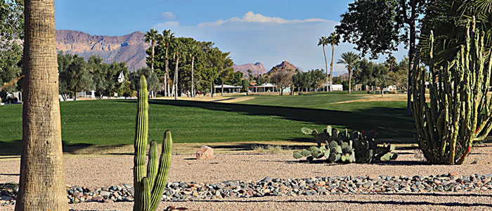 Head Golf Professional, Apache Wells Country Club - Mesa, Arizona